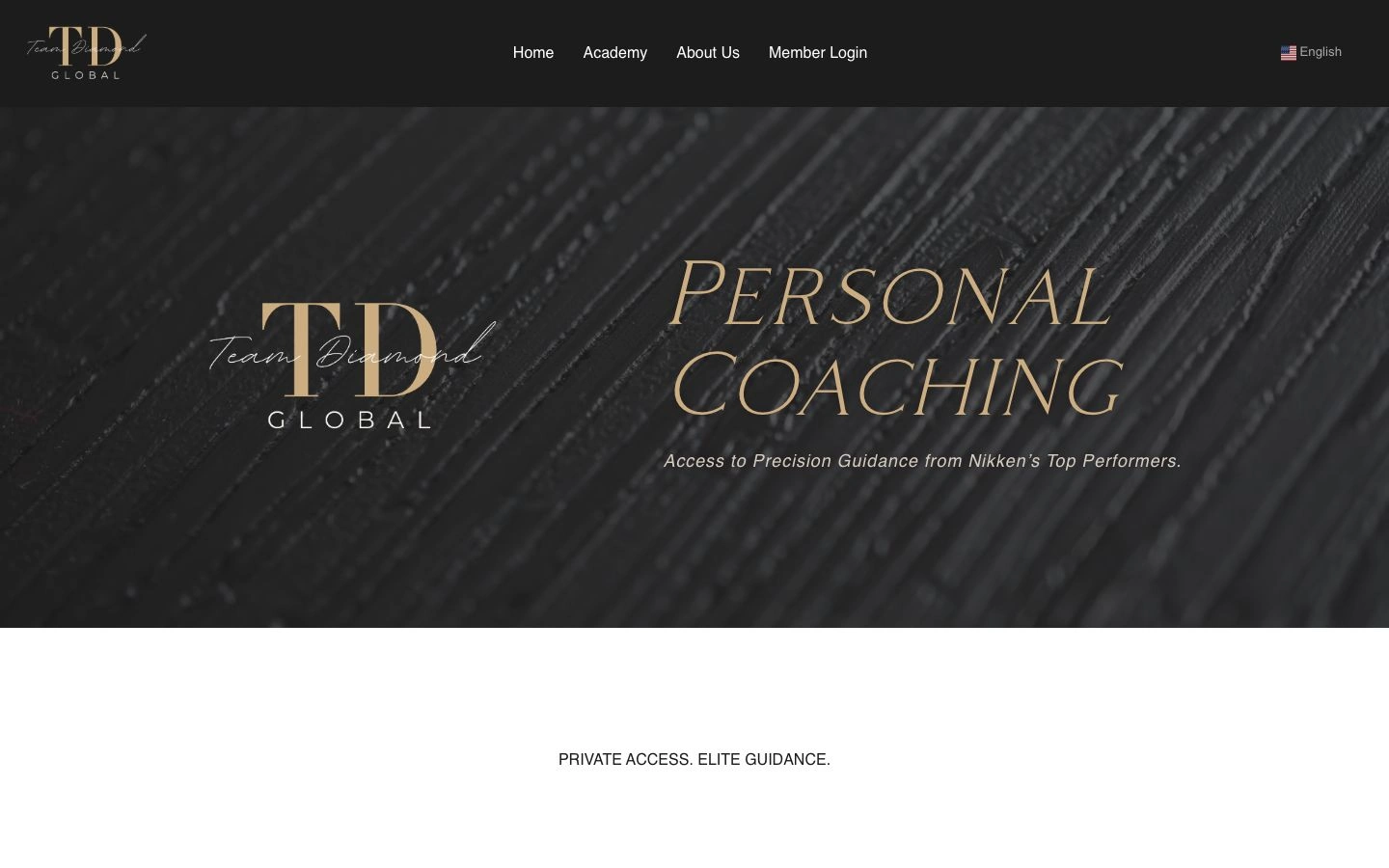Team Diamond Global — the website coaching experience.